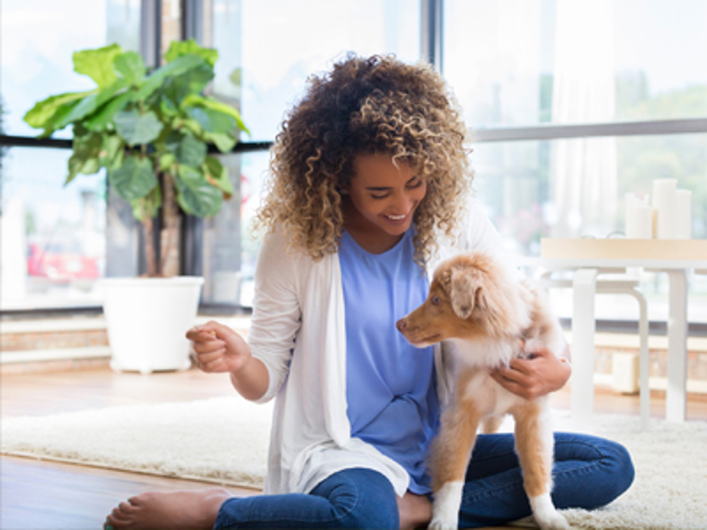 Lady sat on the floor with her puppy looking at her hand