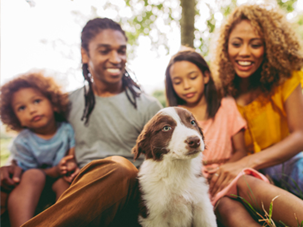 Mum, dad and children sat with dog