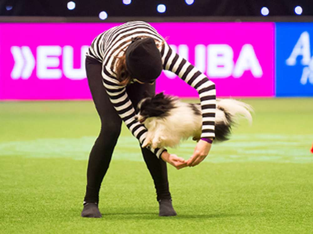 Lady stands up with arms making a circle while dog jumps through arms