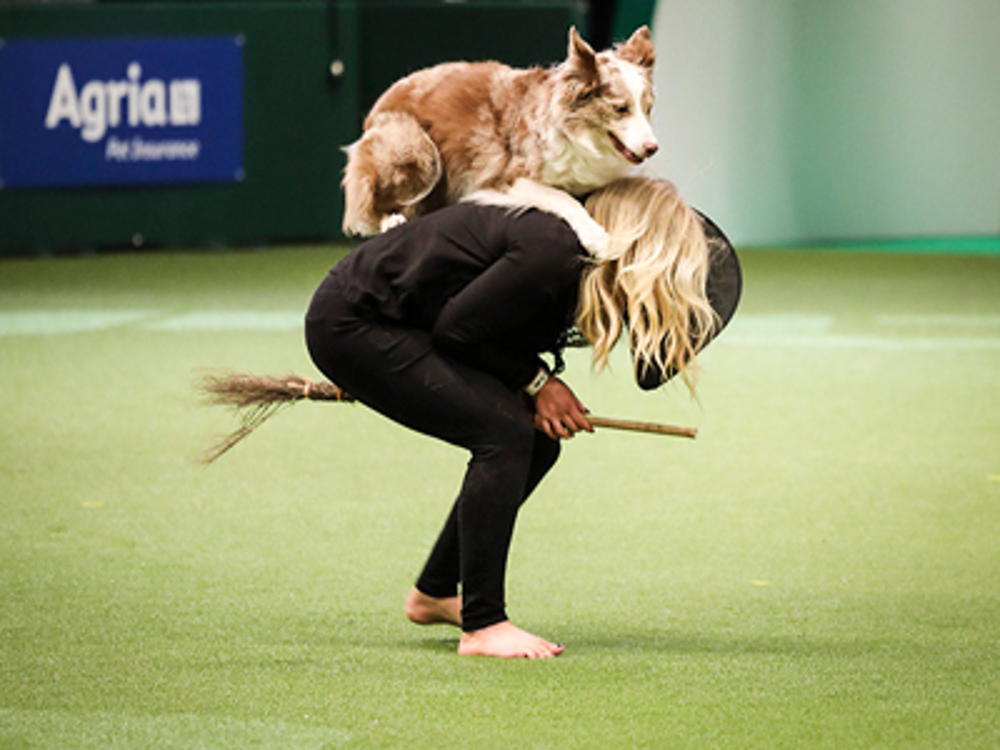 Lady bent over while dog jumps on back