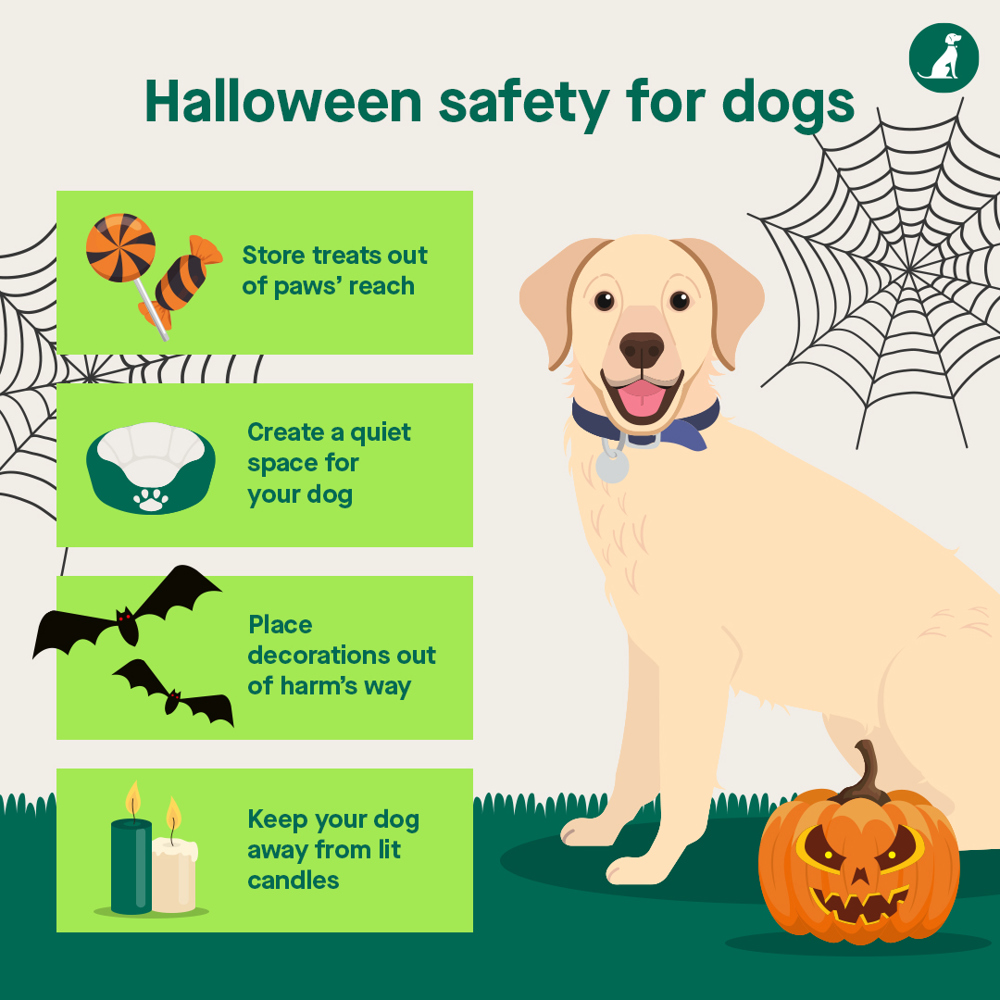 Halloween info graphic